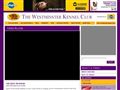 Puppies for sale from http://video.westminsterkennelclub.org/player/?id=216270