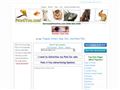 Puppies for sale from http://www.pets4you.com/minibulldog.html
