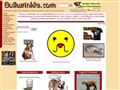 Puppies for sale from http://www.bullwrinkle.com/Assets/Health Topics/Kennel Cough.htm