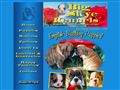 Puppies for sale from http://www.bigskyekennels.com/
