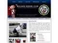 Puppies for sale from http://www.bulldogkennelclub.com/code-of-ethics.php