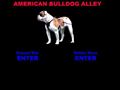 Puppies for sale from http://www.americanbulldogalley.com/home.html