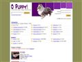 Puppies for sale from http://www.opuppy.com/dog-breeds/bulldog/breeders/page/1/
