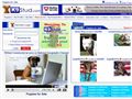 Puppies for sale from http://www.k9stud.com/DogBreedersByBreed/FrenchBulldog.aspx