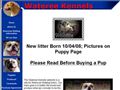 Puppies for sale from http://watereeamericanbulldogs.com/