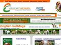 Puppies for sale from http://englishbulldogsforsale.us/english-bulldog-puppies-for-sale.html