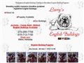 Puppies for sale from http://www.larrysenglishbulldogs.com/