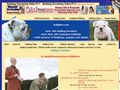 Puppies for sale from http://www.bullynet.com/brdrinfo.aspx?id=512