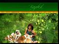 Puppies for sale from http://www.bajoka-bulldogs.com/