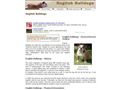Puppies for sale from http://www.english-bulldogs-english-bulldogs.com/english-bulldog-for-sale/english-bulldog-kennel.html