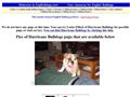 Puppies for sale from http://engbulldogs.com/alabama.htm