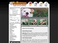 Puppies for sale from http://www.bullcanes.net/
