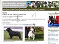 Puppies for sale from http://www.hautacuperche.com/component/option,com_weblinks/catid,25/Itemid,23/lang,es/