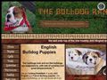 Puppies for sale from http://www.thebulldogranch.com/