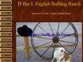 Puppies for sale from http://www.dbarlenglishbulldogranch.com/