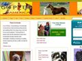 Puppies for sale from http://www.gopetsamerica.com/american-bulldog/american-bulldog-puppy-for-sale.aspx