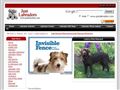 Puppies for sale from http://www.justlabradors.com/shop/index.php?c=003&n=382330011&i=1593786808&x=The_French_Bulldog_Kennel_Club_Classic