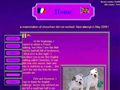 Puppies for sale from http://www.metakisbulls.com/puppy-english-bulldog.html
