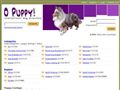 Puppies for sale from http://www.opuppy.com/dog-breeds/french-bulldog/breeders/page/1/