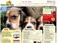 Puppies for sale from http://www.nextdaypets.com/directory/dogs/4d6513f2-c463.aspx