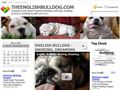 Puppies for sale from http://theenglishbulldog.com/2009/03/my-english-bulldog/