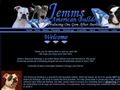 Puppies for sale from http://www.jemmskennels.com/juniors.html