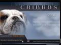 Puppies for sale from http://www.cribros-bulldogs.com/
