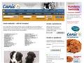 Puppies for sale from http://www.canis.se/kennel.php?mid=40&s=9