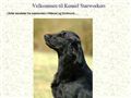 Puppies for sale from http://www.starworkers.dk