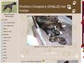 Puppies for sale from http://www.kennel-preisler.dk/1425558
