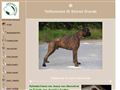 Puppies for sale from http://www.dravde.dk/7049163?cp=2&ei=vyS9SY20KYK2sQPQuJSeAg&sa=X&oi=translate&resnum=79&ct=result&prev=/search?q=kennel++boxer+salg&hl=en&lr=lang_da&num=100