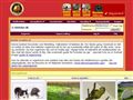 Puppies for sale from http://www.kaeledyr.dk/forum/vbclassified.php?do=ad&id=106