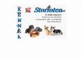 Puppies for sale from http://www.kennelstorfoten.no
