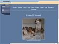 Puppies for sale from http://www.kennelurbrand.webbyen.dk