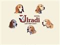 Puppies for sale from http://ulradi.showbeagles.dk