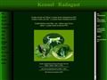 Puppies for sale from http://www.parsonrussell.se