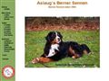 Puppies for sale from http://www.aslaugs.dk