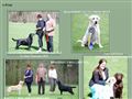 Puppies for sale from http://www.seabirdskennel.se/joomla/index.php?option=com_content&view=category&layout=blog&id=9&Itemid=27&ei=Ui-9SYC3N4KEsAOMwKQ2&sa=X&oi=translate&resnum=36&ct=result&prev=/search?q=labrador++kennel++salu&hl=en&lr=lang_sv&num=100