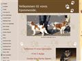 Puppies for sale from http://www.kennel-hejlskov.dk/6970624