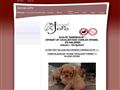 Puppies for sale from http://www.kennel-jopo.dk/?id=71728