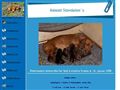 Puppies for sale from http://www.kennel-stovdalens.dk/1936340