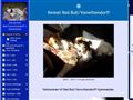 Puppies for sale from http://www.kennel-red-bull.dk/12315126