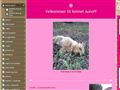 Puppies for sale from http://www.kennelaunoff.dk/8197002?i=19364856&ei=JlzESdGmI4nOsAPUpI3hBg&sa=X&oi=translate&resnum=34&ct=result&prev=/search?q=kennel+valp&hl=en&lr=lang_da&start=300&num=100