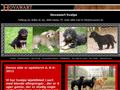 Puppies for sale from http://hovawart.dk/index.php/359000