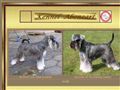 Puppies for sale from http://www.aboneart.dk/lookie-som-hvalp.html
