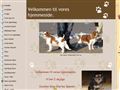 Puppies for sale from http://www.kennel-hejlskov.dk/6970602