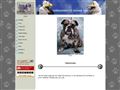 Puppies for sale from http://www.kennelbay.dk/11695475