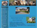 Puppies for sale from http://www.kennelteamofcati.dk/17782127