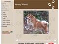 Puppies for sale from http://www.kennel-ganti.dk/23112661