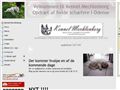 Puppies for sale from http://www.kennel-mechlenborg.dk/21087351